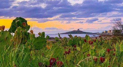 Isola delle Femmine